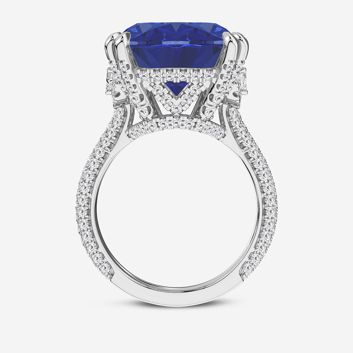 Elongated Cushion Sapphire Hidden Halo Ring